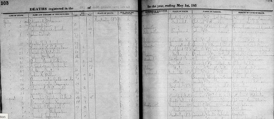 Rhode Island 1904 death record